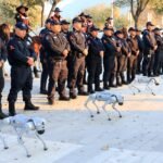 Listo operativo de seguridad para juegos de repechaje en Guadalupe