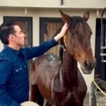 Creará Miguel Flores refugio para caballos vulnerables