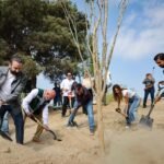 Impulsa San Pedro reforestación con 500 árboles