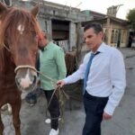 Rescata Mike Flores a caballo con exceso de carga