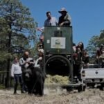 Mike Flores apoya liberación de oso ‘Tadeo’ en NL