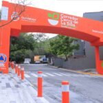 Rehabilitan acceso al Cerro de la Silla