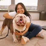 Protección animal!: Mascotas no serán “juguete” en los divorcios