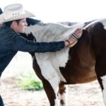 Va Mike Flores por santuario de caballos único en AL
