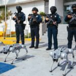 El ABC del Mundial en Guadalupe