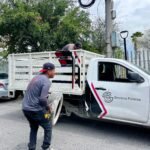 Activa Santa Catarina campaña contra dengue