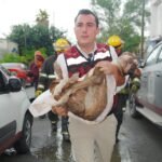 Va Guerra Cavazos contra crueldad animal