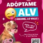Lanzan campaña ‘Adóptame ALV’ en García, NL