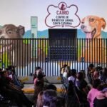 Tiene Santa Catarina ´amores perros´ por Cairo