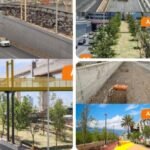 Da otra imagen a NL 1.1 millones de árboles