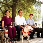 Promueve Nava adopción de animales de compañía