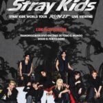 Stray Kids llegará al cine con “RUN IT”
