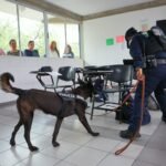 San Pedro activa escudo escolar con “Escuela Segura”